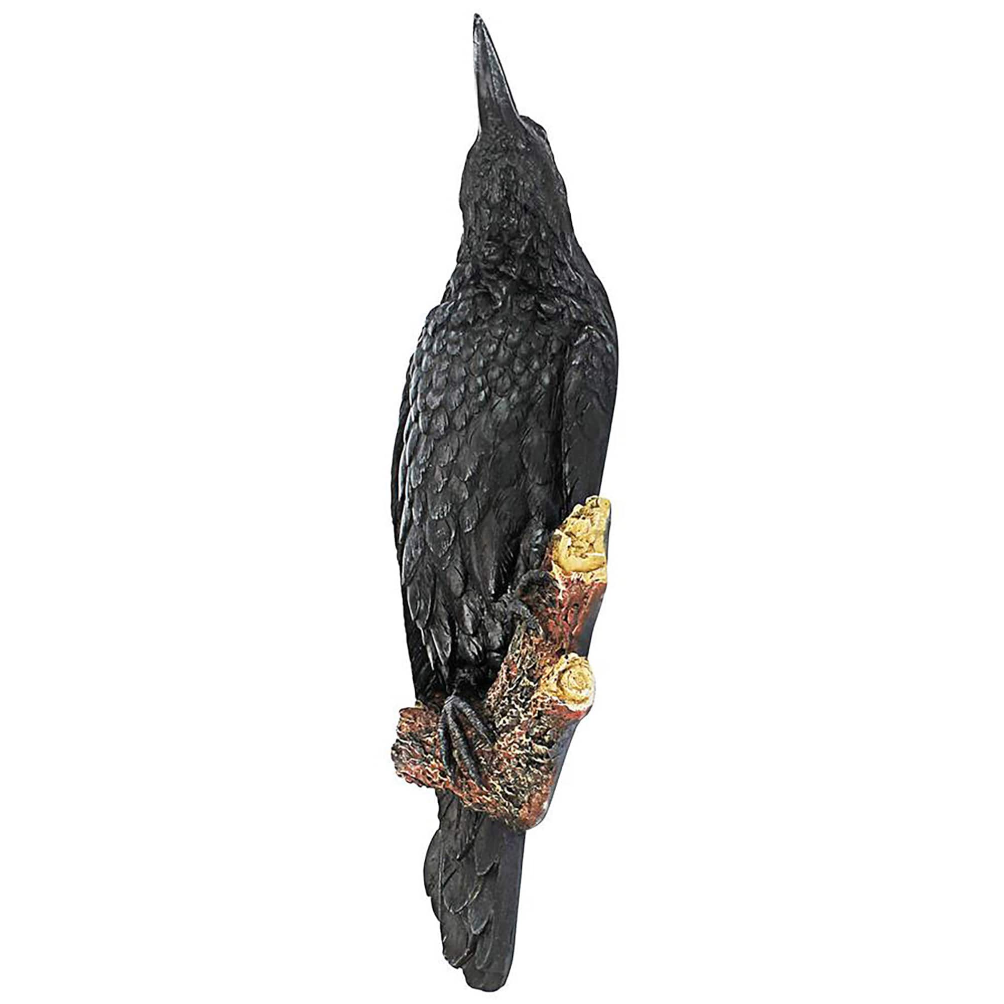 Design Toscano 18" The Raven's Perch Wall Sculpture